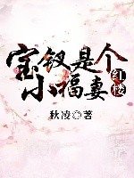 （紅樓同人）寶釵是個小福妻[紅樓]